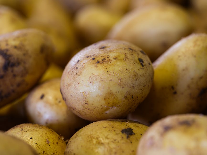 Did You Know Potatoes Were the First Vegetable Grown in Space?
