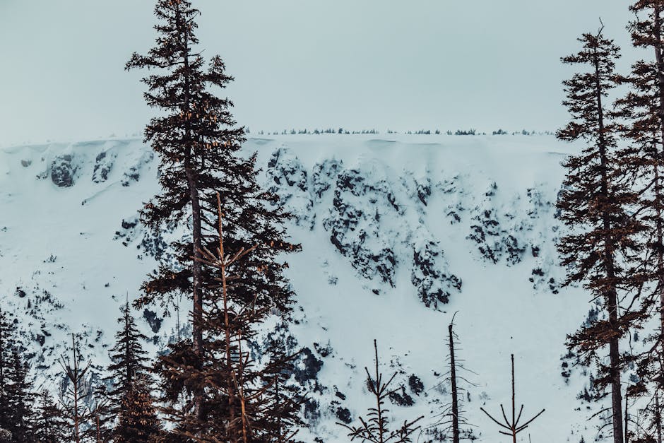 10 Fun Facts About Europe You Didn’t Know