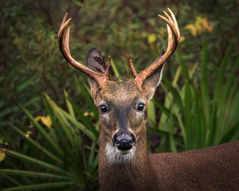 Top 10 Fun Facts About the Animal Kingdom