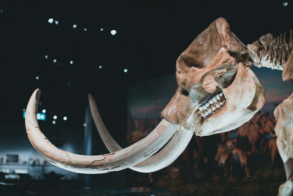 Did You Know? 15 Facts About Extinct Animals