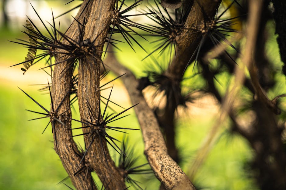 Top 10 Most Dangerous Plants in the World