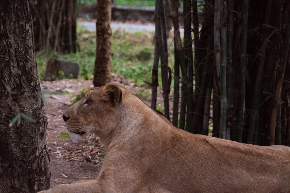 Top 10 Fun Facts About the Animal Kingdom