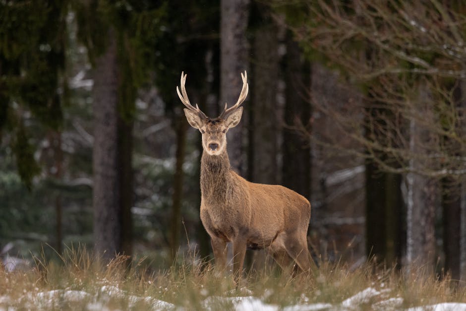 Did You Know? 12 Rare Weather Events