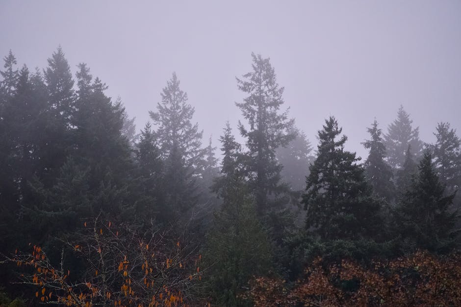 Top 10 Strange Facts About Weather