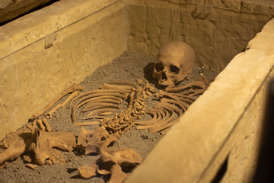 Did You Know? 10 Unsolved Mysteries from History