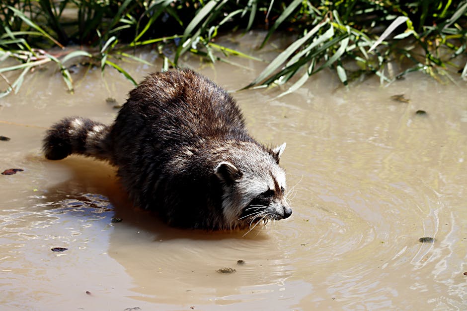 Did You Know? 10 Animals That Can Regrow Body Parts