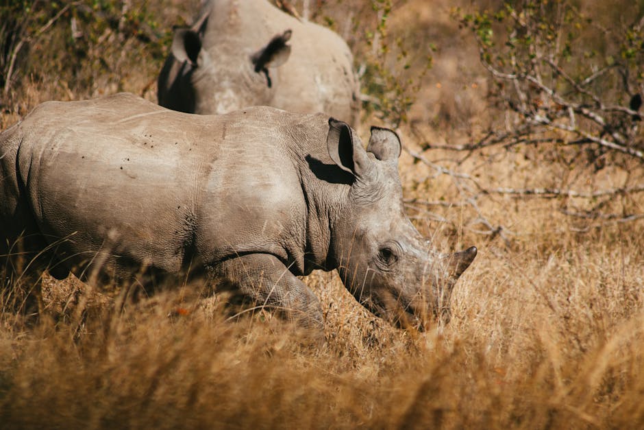 Top 10 Most Endangered Species in 2025