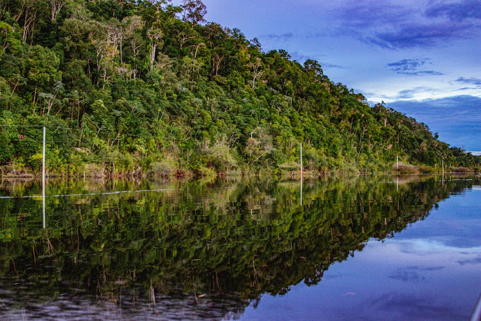 Did You Know? 15 Facts About the Amazon Rainforest