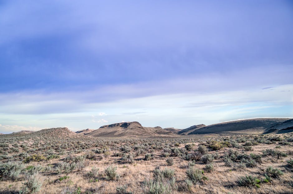 15 Surprising Facts About Deserts