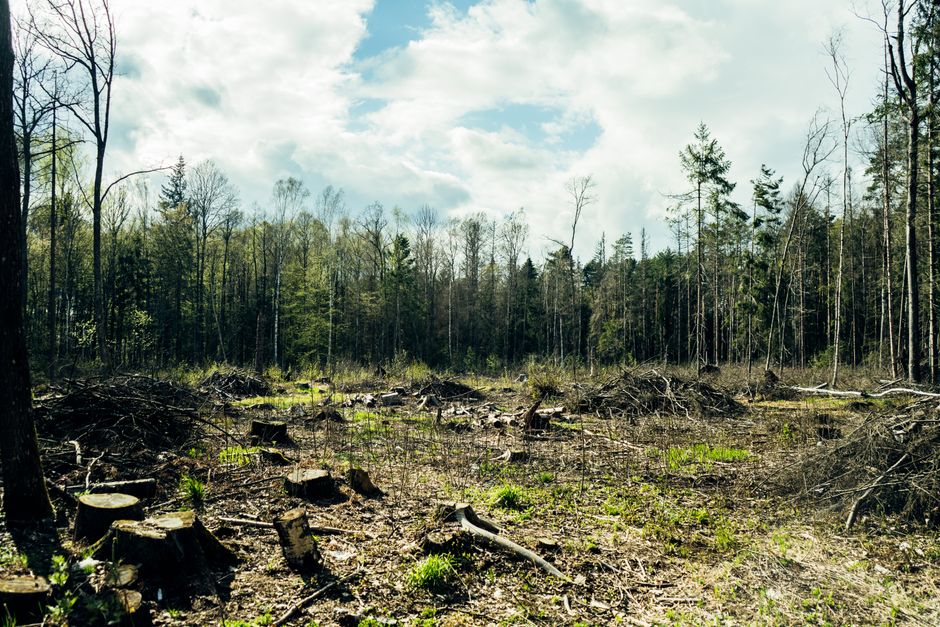 Did You Know? 12 Facts About Climate Change You Didn’t Know