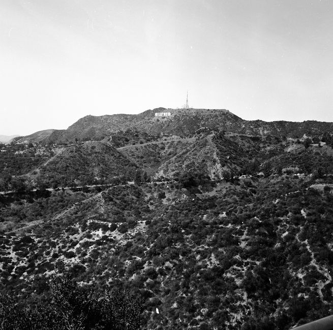 15 Fun Facts About Classic Hollywood
