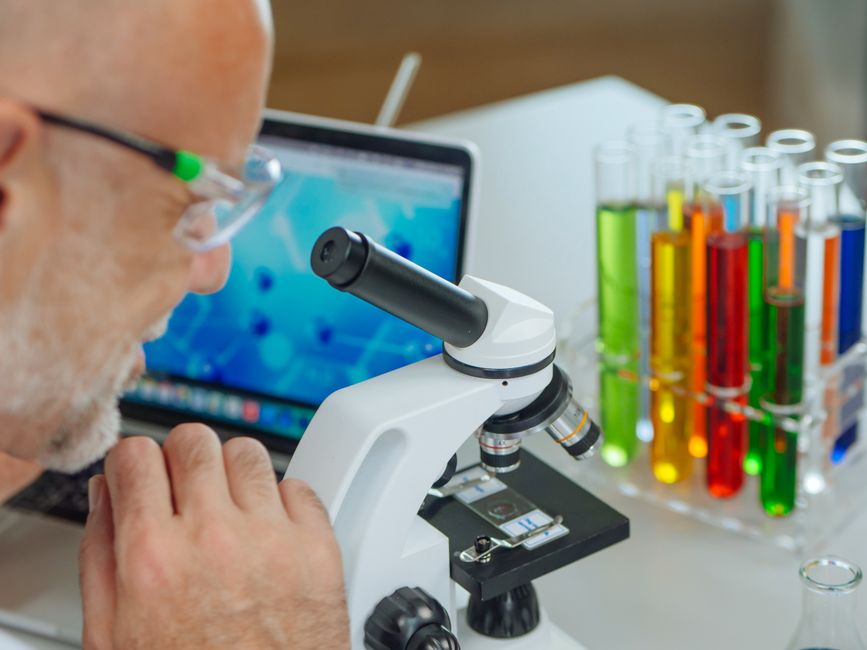 What French chemist discovered the browning reaction named after him ...